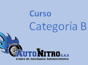 Curso Categortia B1